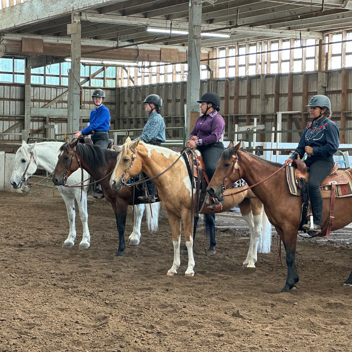 4-H Horse Judging & Hippology