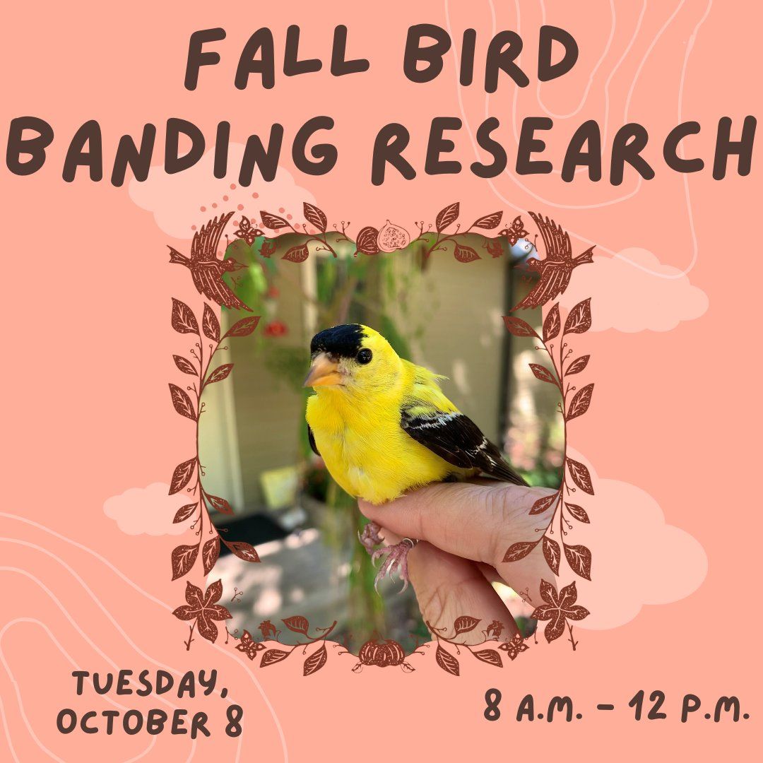 Observe Fall Bird Banding Research