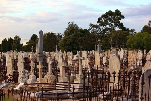 Discover West Terrace Cemetery