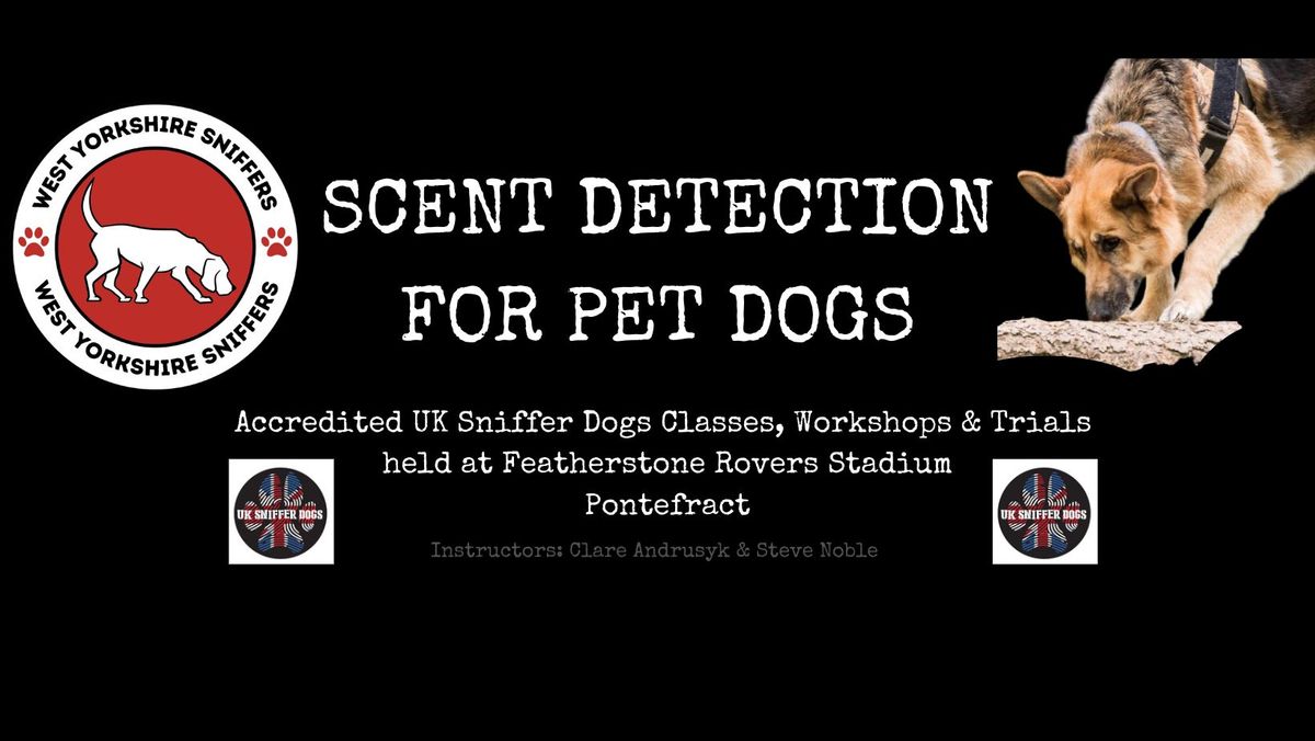 Bronze Scent Detection Workshop for Pet Dogs