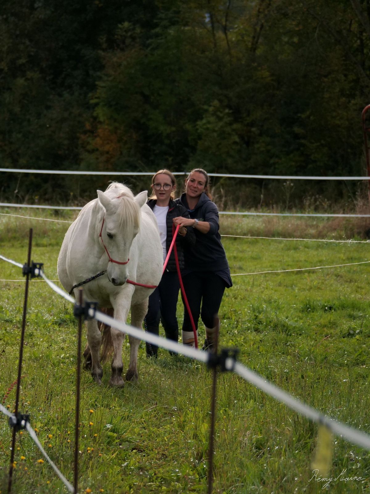 Stage d'\u00e9quitation \u00e9thologique avec C\u00e9lia Faucheur - La ferme des Mille Pattes