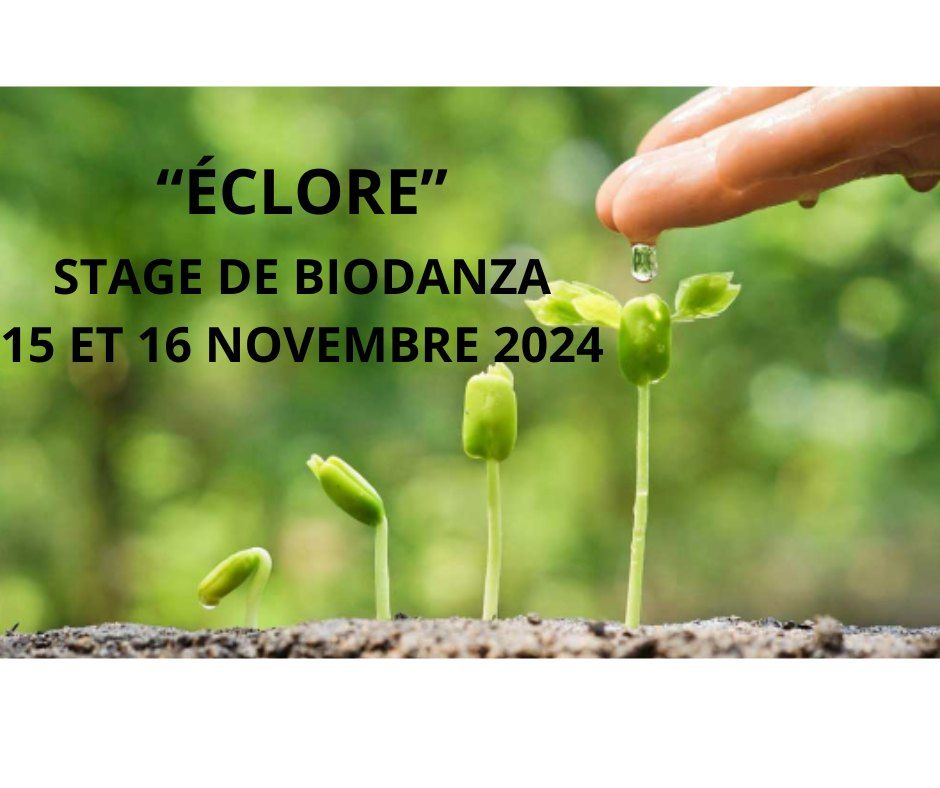 STAGE DE BIODANZA "\u00c9CLORE"