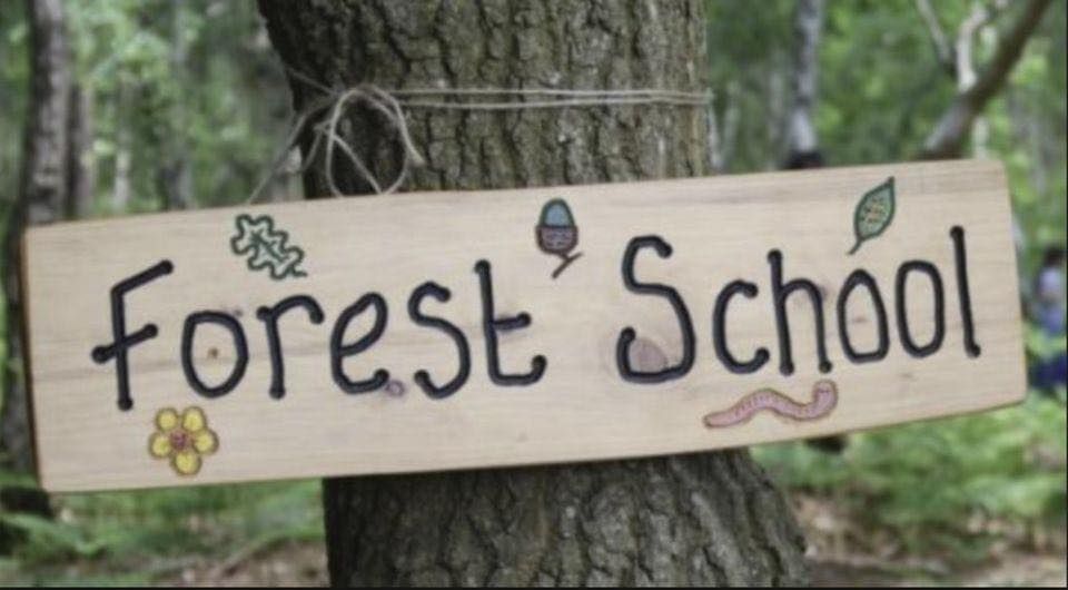 Family Forest School -Monthly on a Saturday ages 2-12