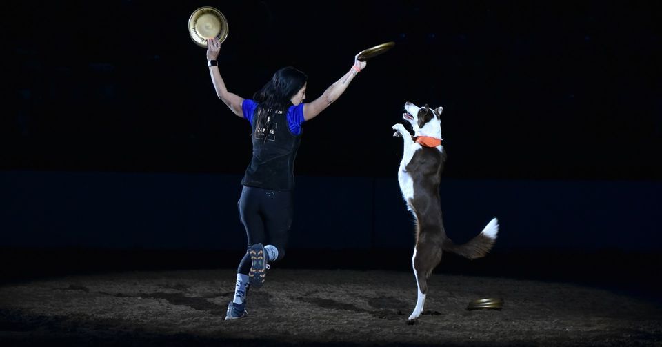Xtreme Dogs Shows