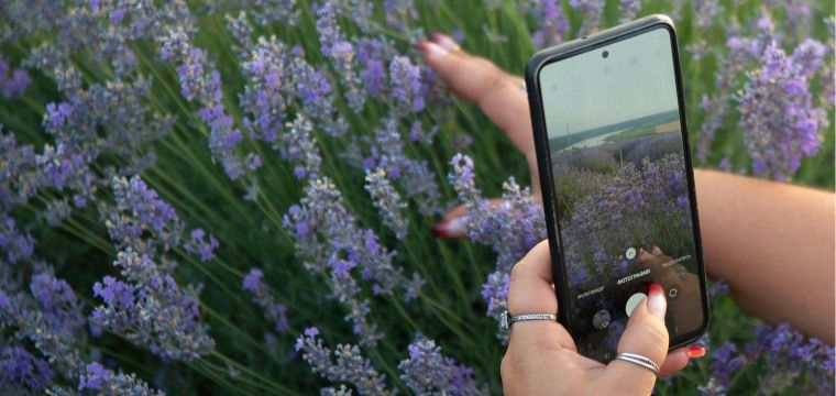 Photographing Flowers with a Smartphone