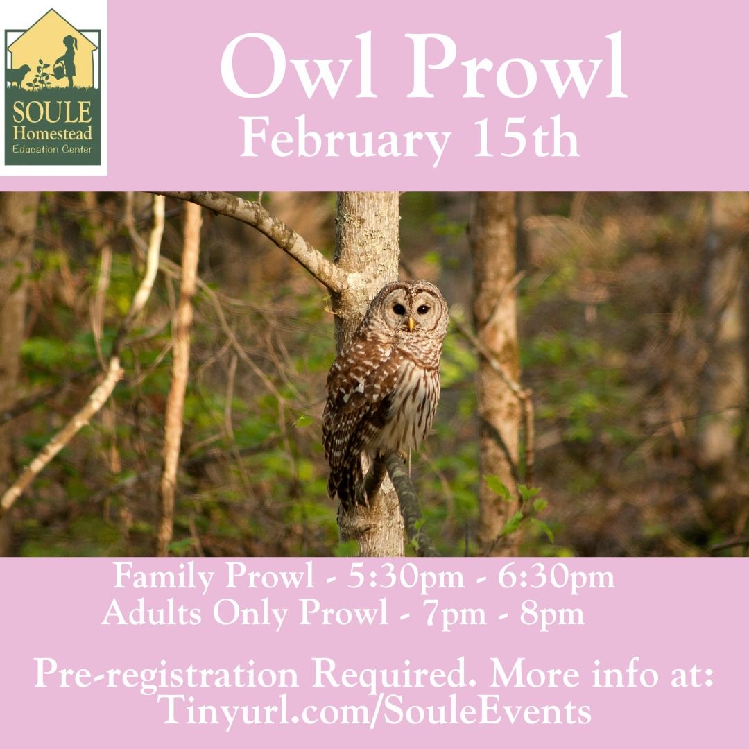 Feb 15th - Owl Prowl at Soule Homestead