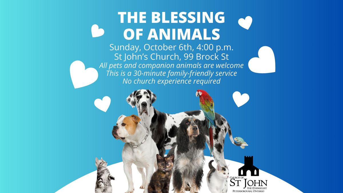 The Blessing of Animals Service