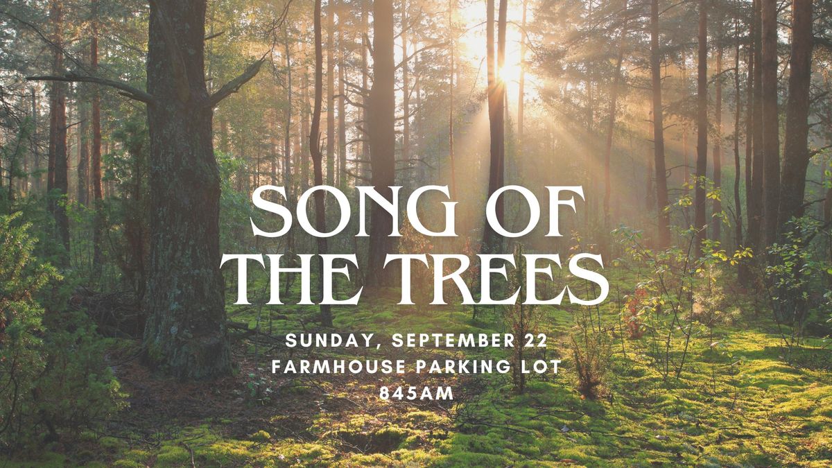 Song of the Trees