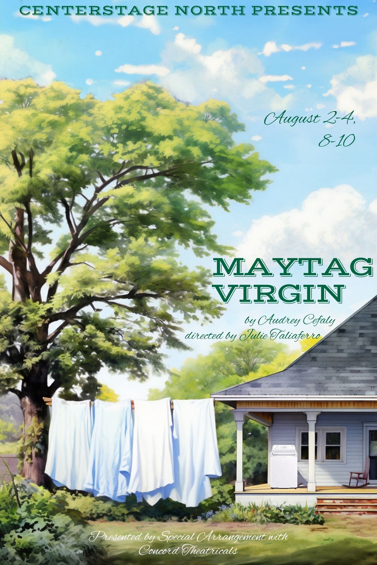 Auditions For Maytag Virgin by Audrey Cefaly