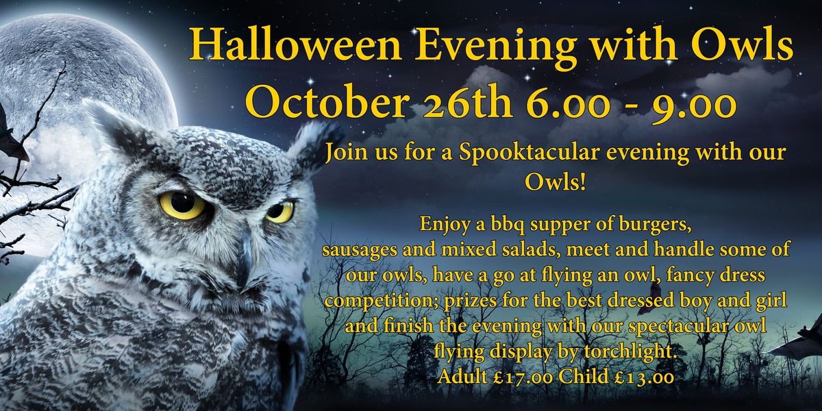 Halloween Evening with Owls