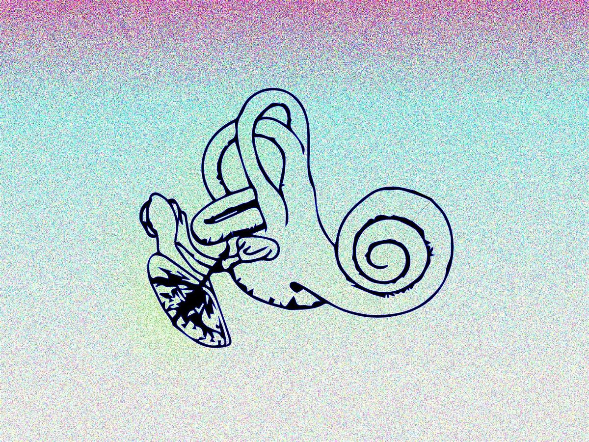 DIY MICROPHONE & HYDROPHONE WORKSHOP