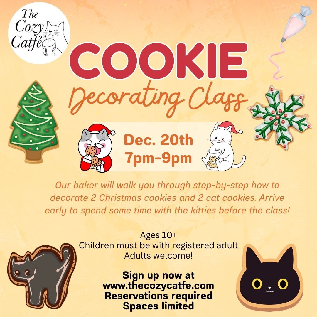 Cookie Decorating class with kitties