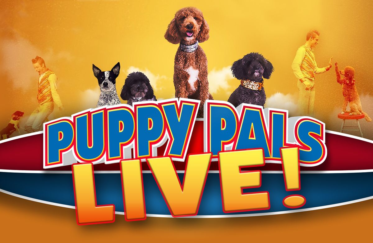 The Puppy Pals Live!  As seen on America's Got Talent! 