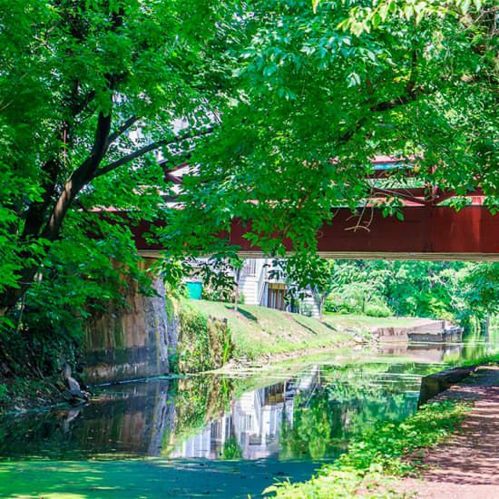 New Hope Mystery Picnic: Self-Guided Foodie Adventure