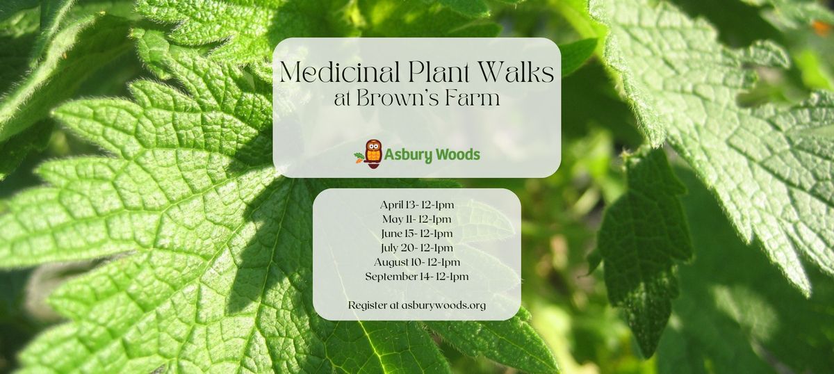 Medicinal Plant Walks at Brown's Farm