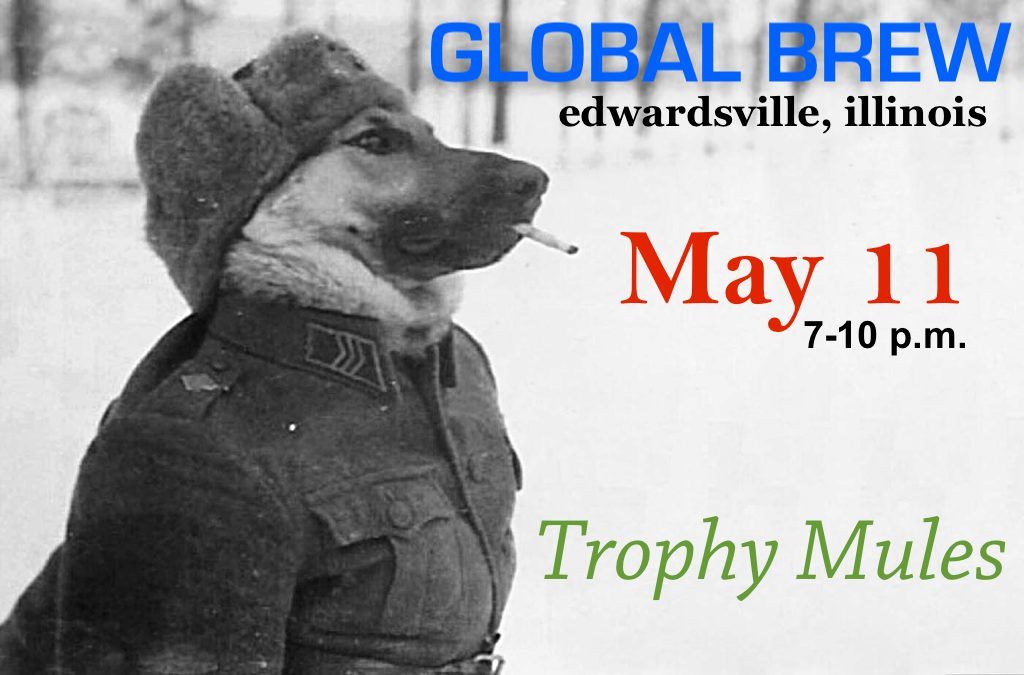 Trophy Mules acoustic in Edwardsville