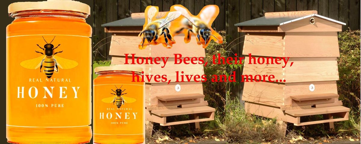 Honey Bees, Honey,  Hives, their Lives  and More.. a u3a event with apiarist Alan Deeley 