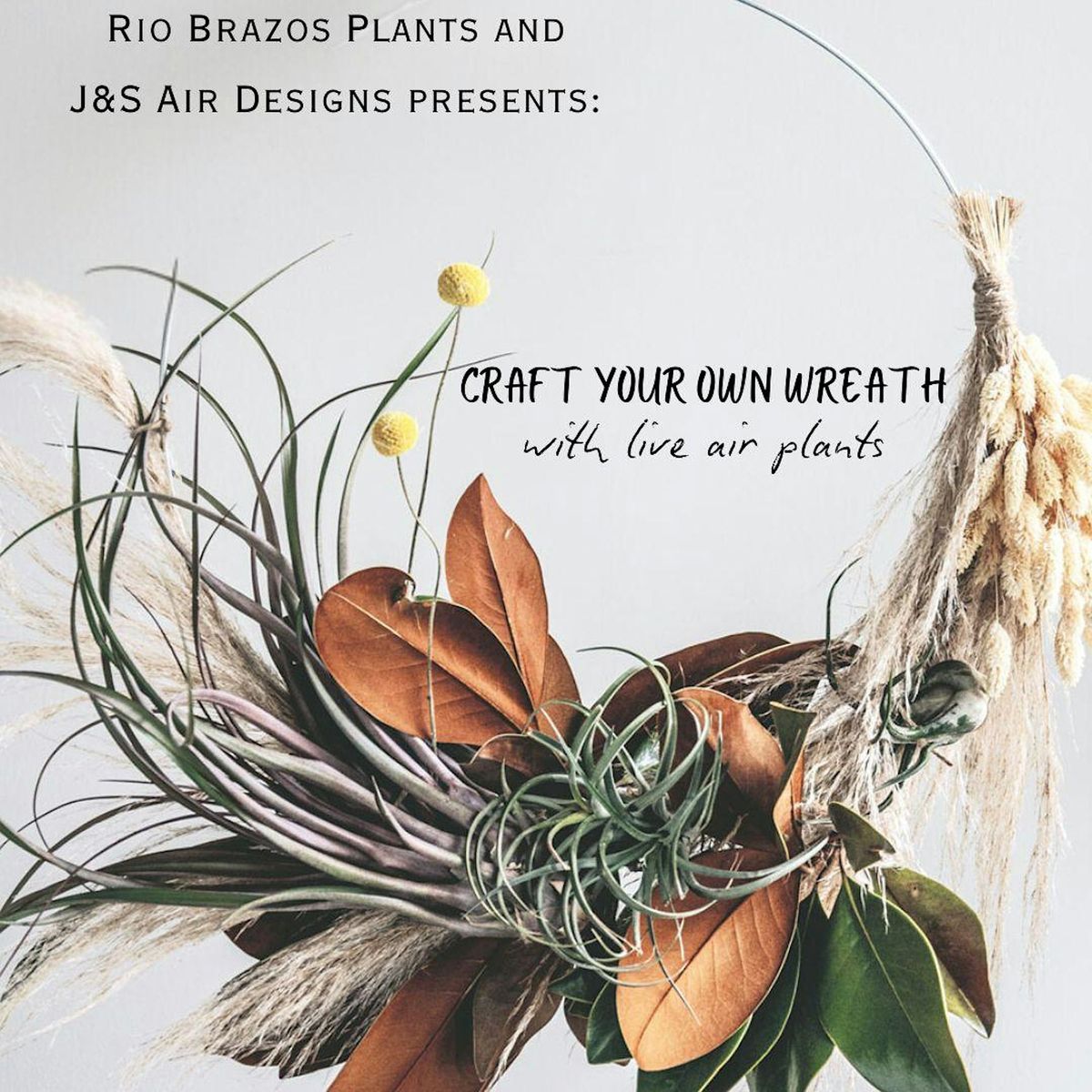 Wreath Making w\/ Air Plants Workshop