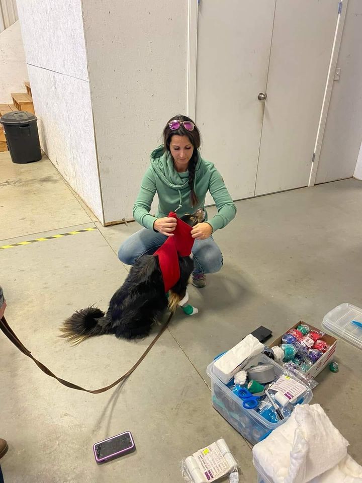 K9 Health & Emergency First Aid, Spruce Grove, Edmonton, 18 February 2023