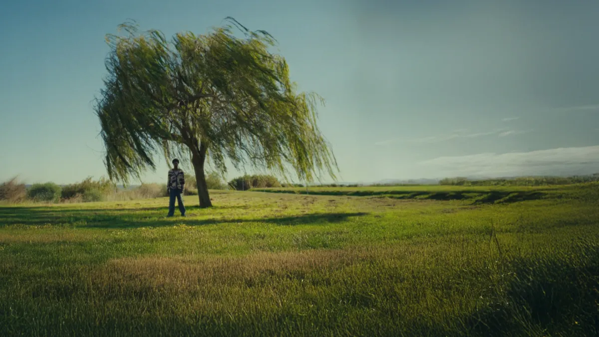 Papillon, Passi, Sinik in Brest