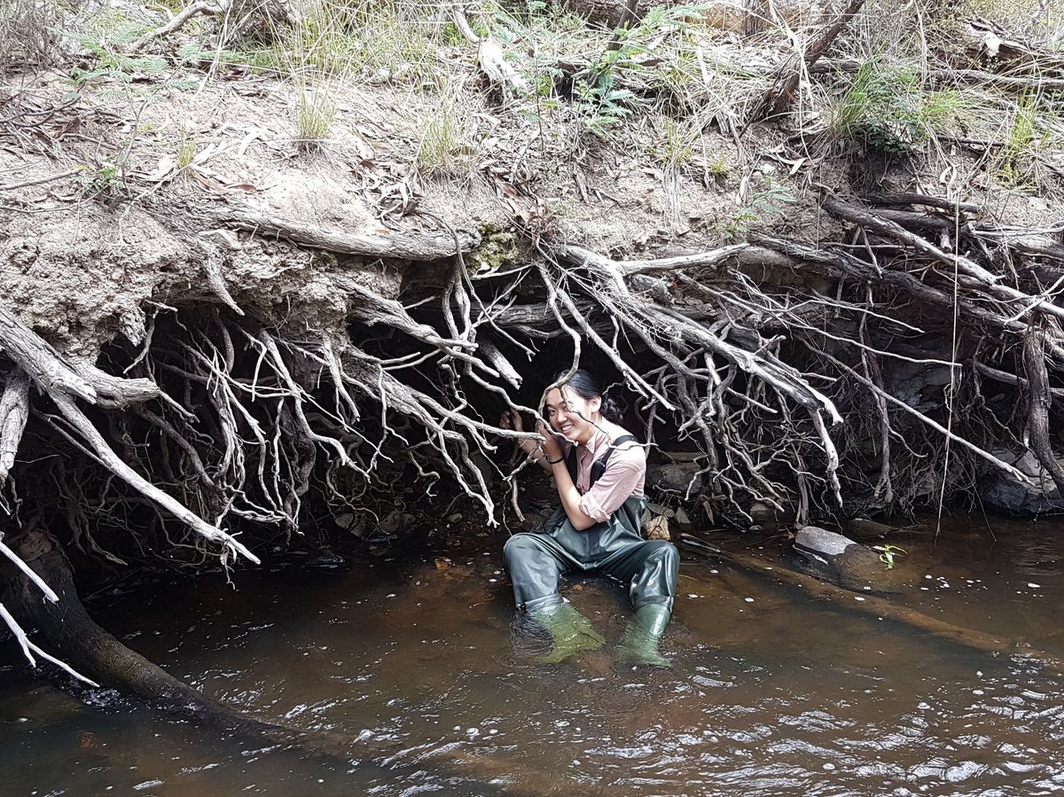 Frogs in a human world: How frogs are faring in modified landscapes - Dr. Gracie Liu