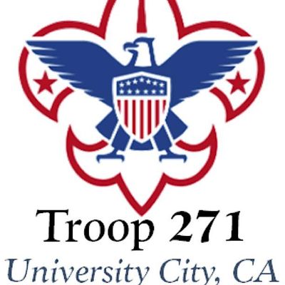 Troop 271