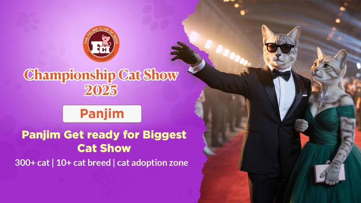 Championship Cat Show Panjim 2025