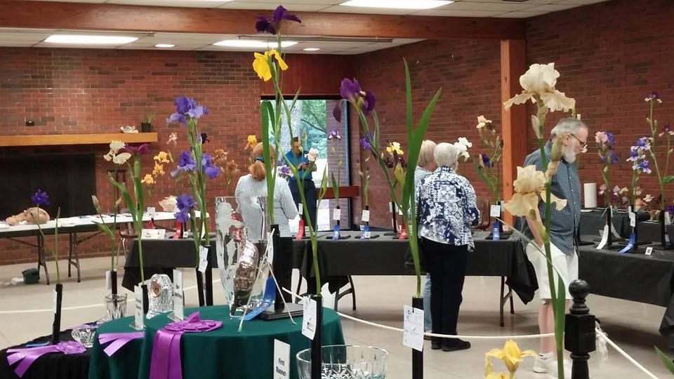 2025 West Tennessee Iris Society Iris Show