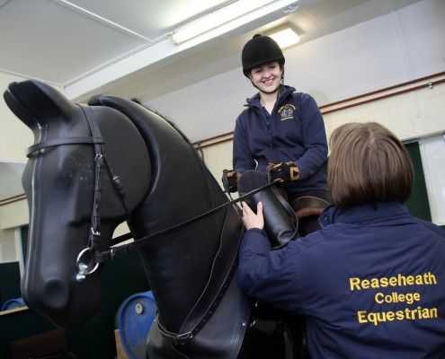 Have-A-Go Side saddle