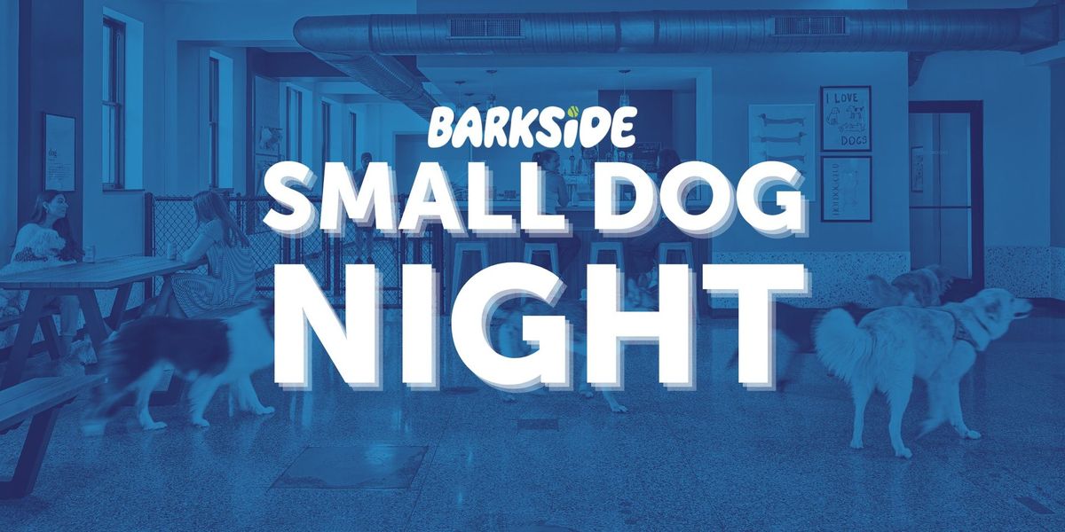 Small Dog Night