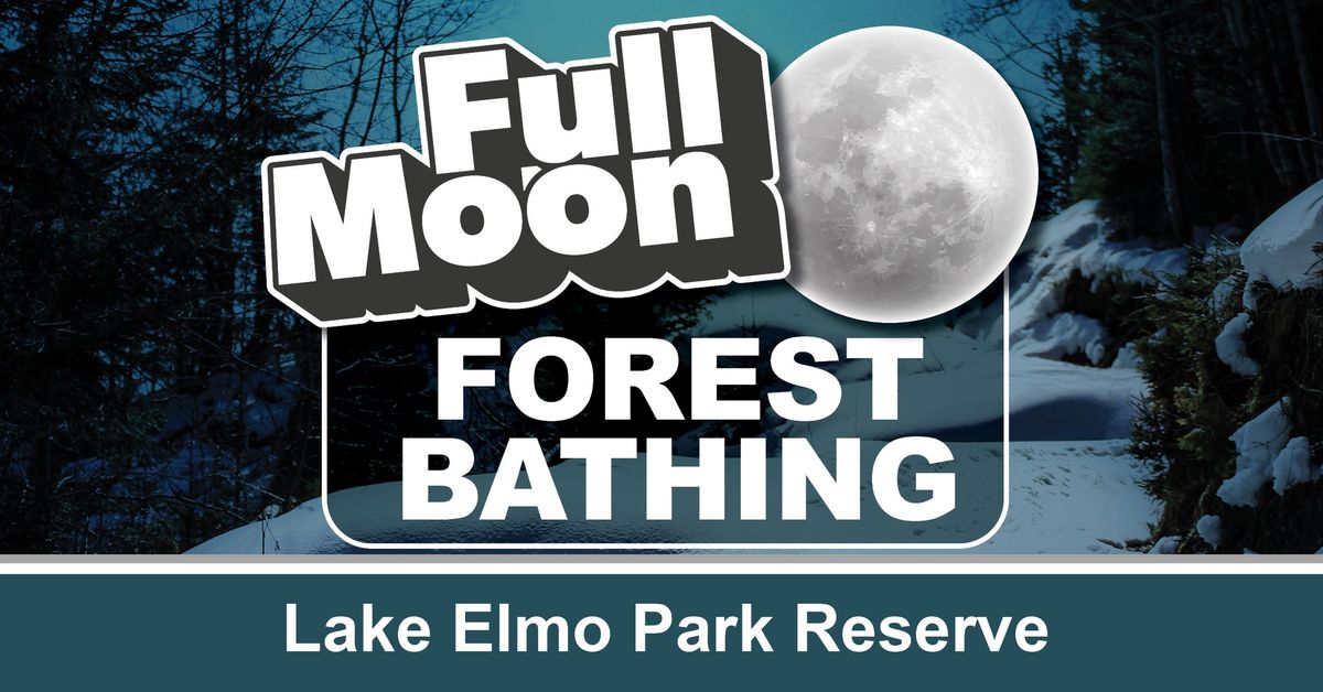 Full Moon Forest Bathing