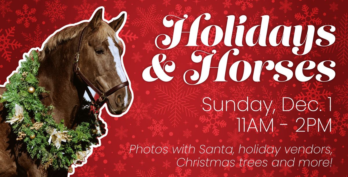 Holidays & Horses