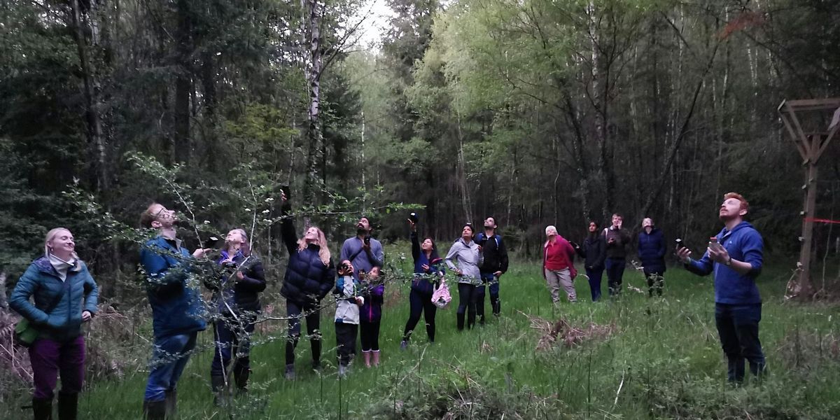 Salisbury Bat Night