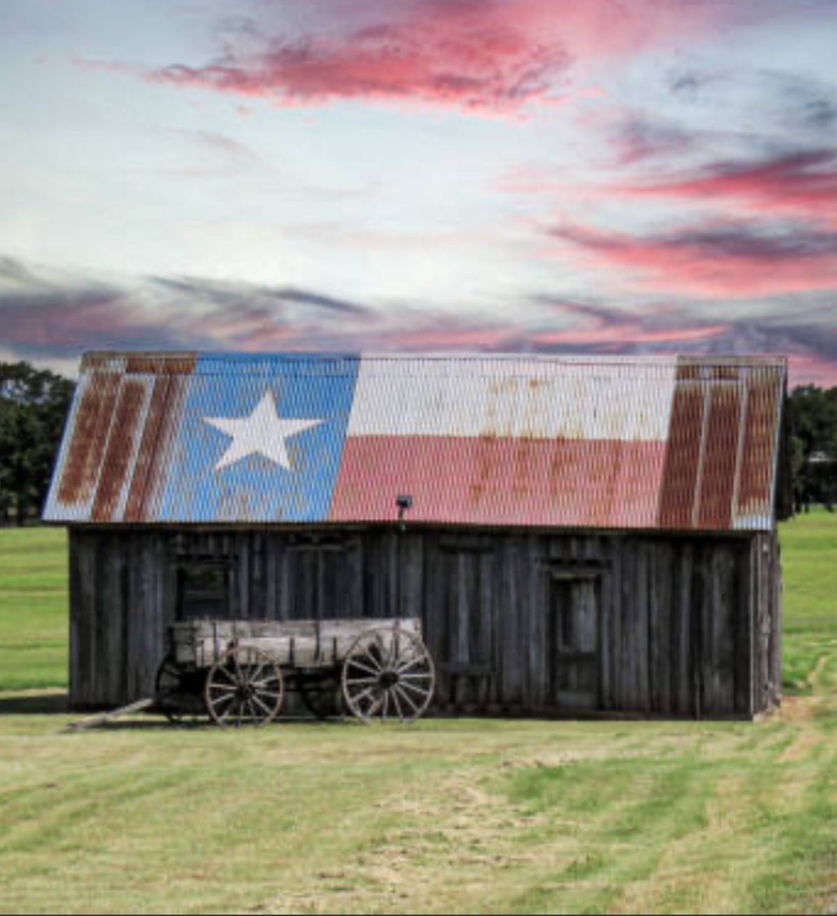 A Texas Celebration in Nameless