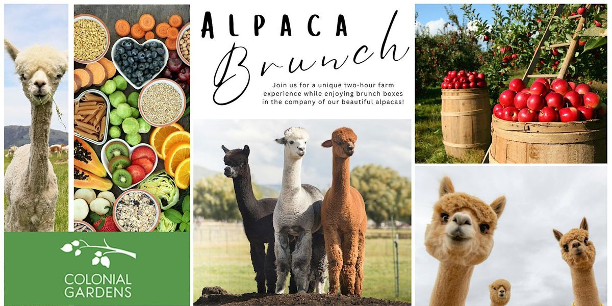 Alpaca Brunch