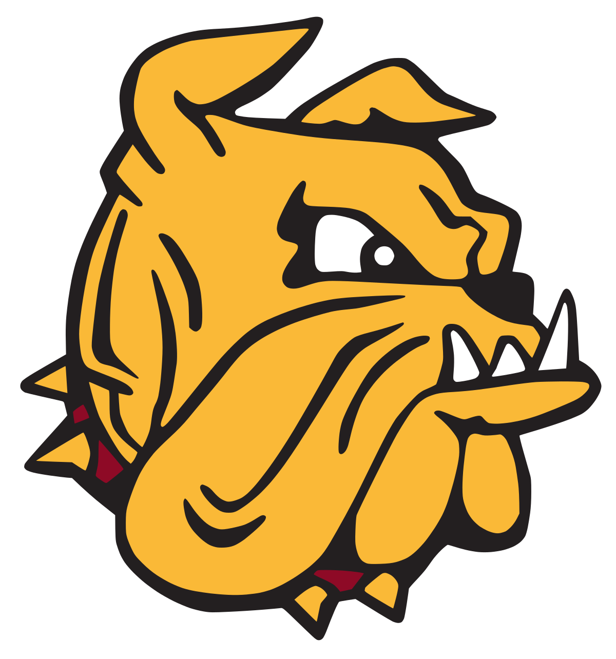 Minnesota Golden Gophers at Minnesota Duluth Bulldogs Mens Hockey