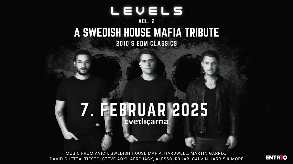 LEVELS vol. 2 \ud83d\udc99 SWEDISH HOUSE MAFIA Tribute [2010's EDM Hits] | 7. februar 2025