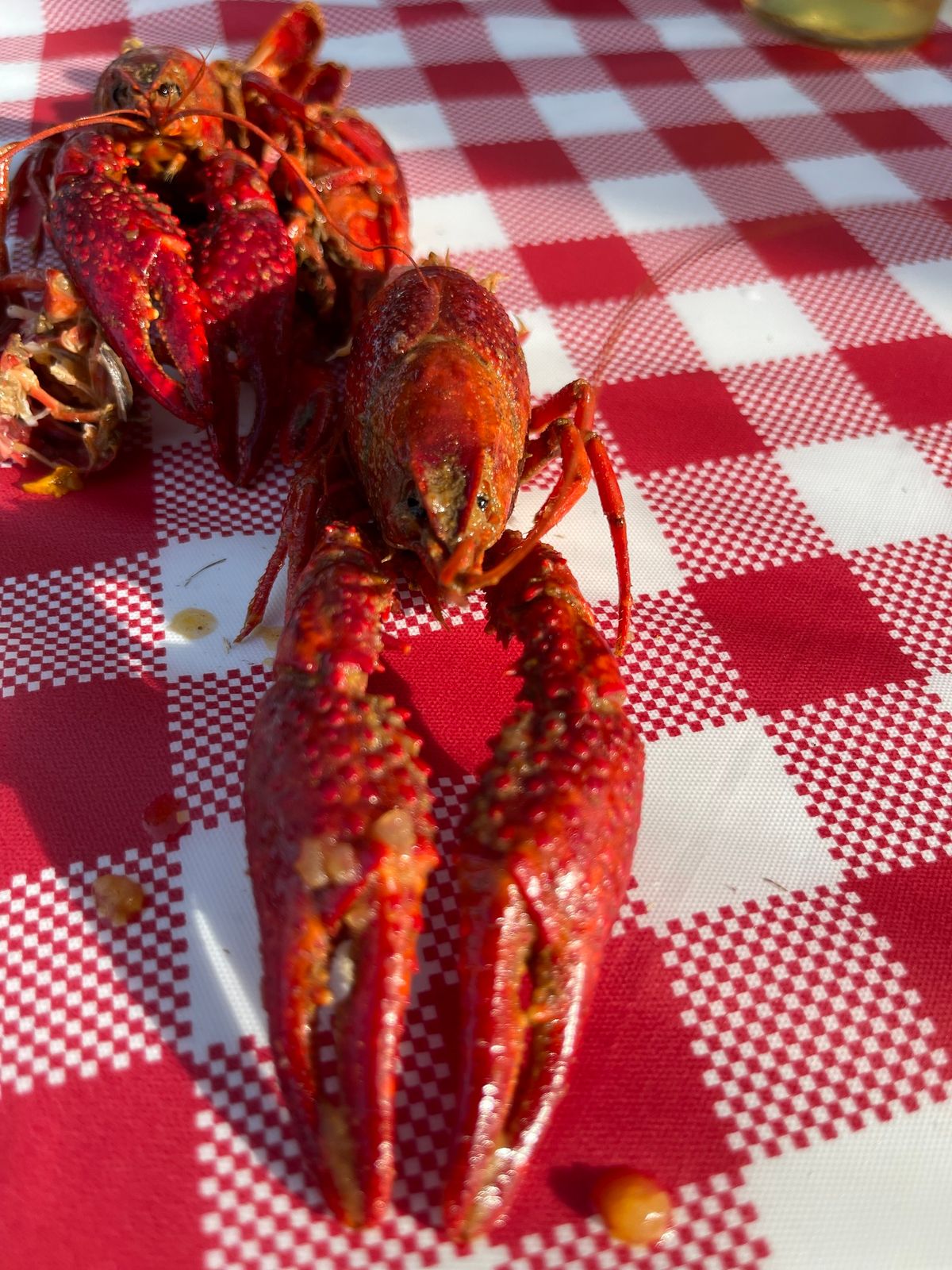 ROLL CAJUN CRAWFISH BOIL -- Celebrate the Season