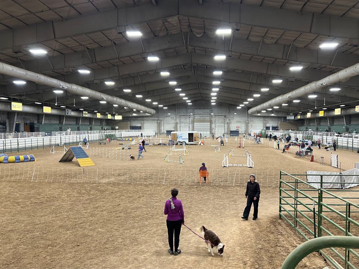 Salty Dogz Agility Club of Utah May Trial