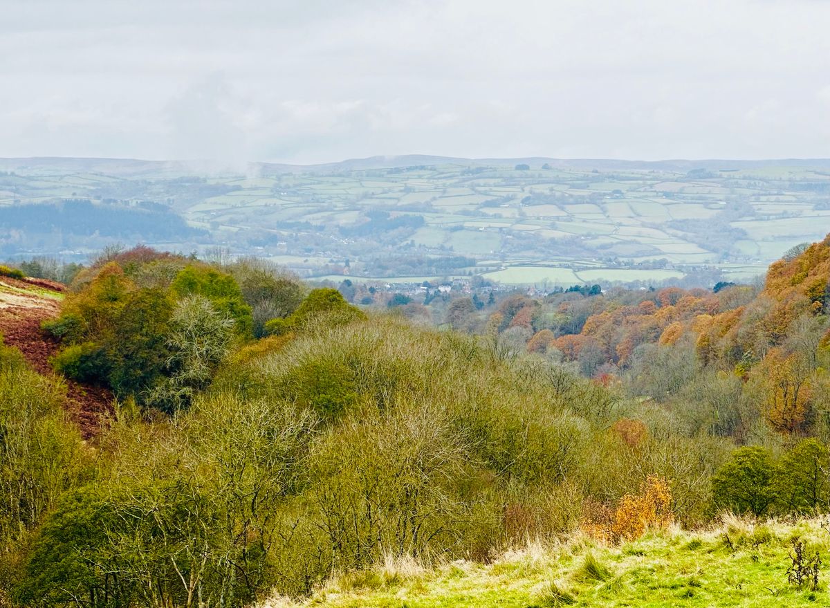 "Hay-on-Wye Winter Wander: Valleys, Forests, and Panoramic Views"