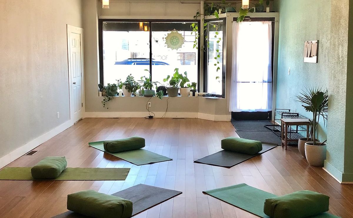  In-Studio Yoga for Larger Bodies 5 Session Series In person and Virtual Options