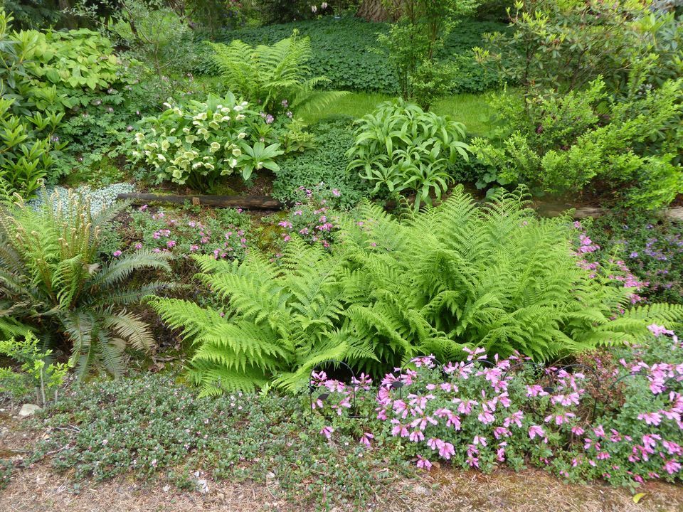 Landscaping with Native Plants