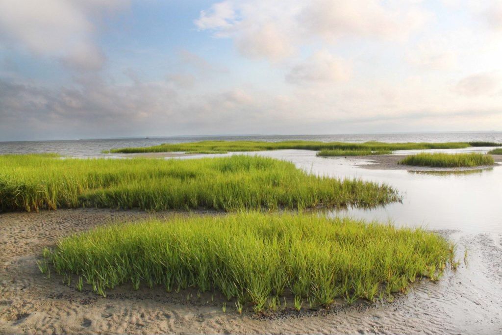 Discovery Lecture - Port Royal Sound in Focus