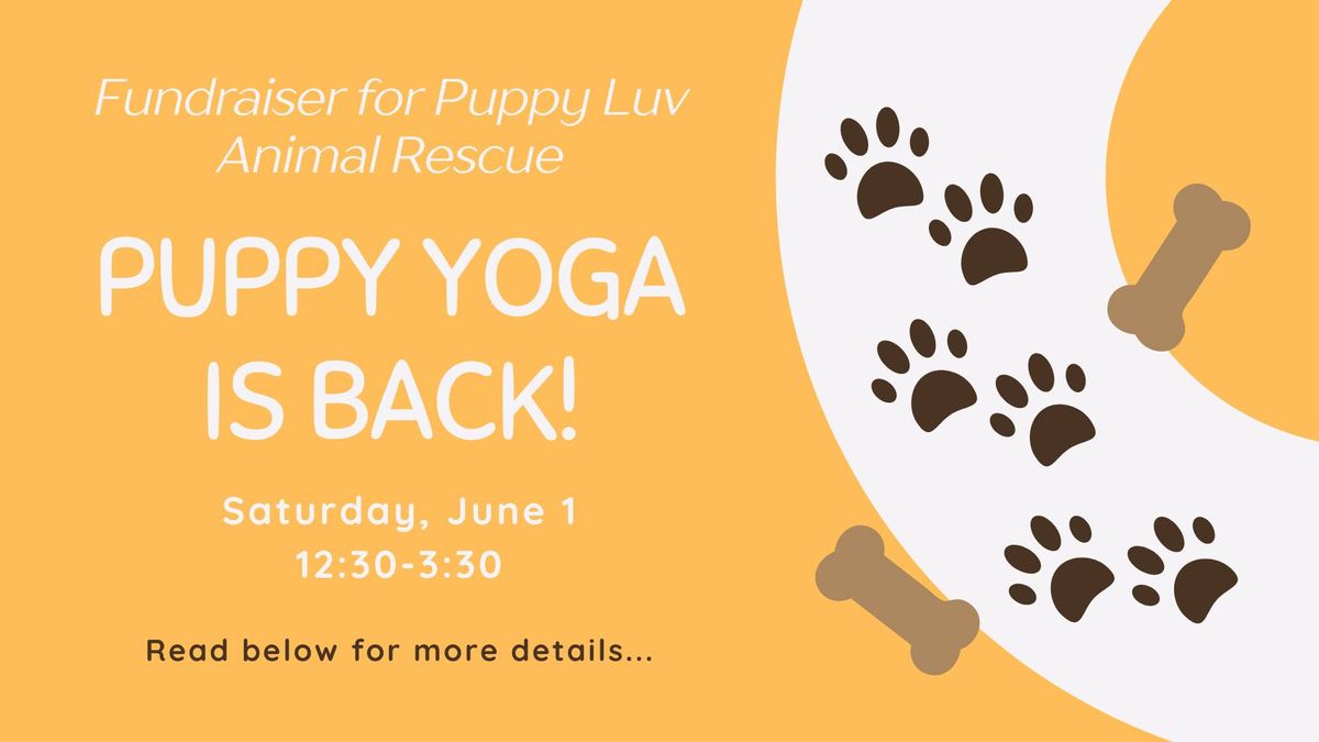 Puppy Yoga with Puppy Luv Rescue