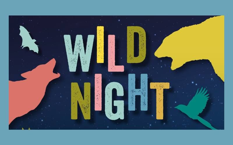 Wild Night - See the Park After Dark
