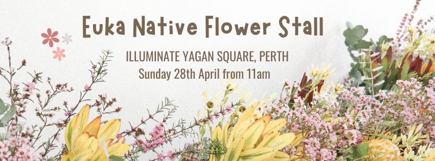 Euka Native Flower Stall - Illuminate Yagan Square