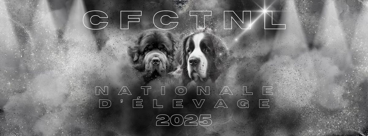 Nationale d\u2019\u00e9levage 2025