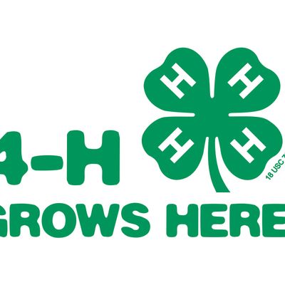 Texas A&M AgriLife Extension 4-H Office