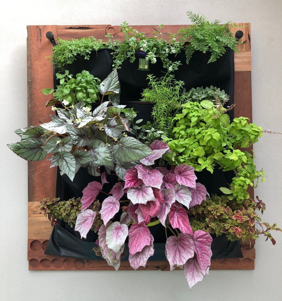 Wall Planter Workshop