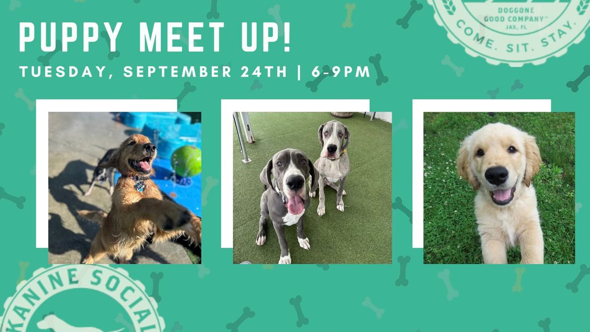 Puppy Meet Up!